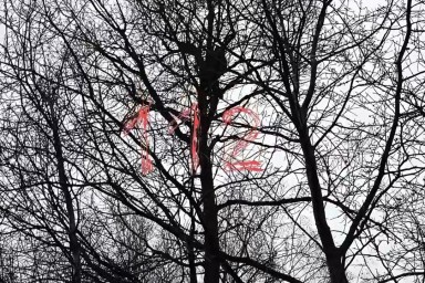 В Новой Москве спасли кота, почти неделю просидевшего на дереве