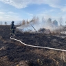 В селе под Пензой полыхнула сухая трава