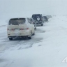 "Грелись в похоронном автобусе": пассажиры до Синегорска оказались на трассе в метель