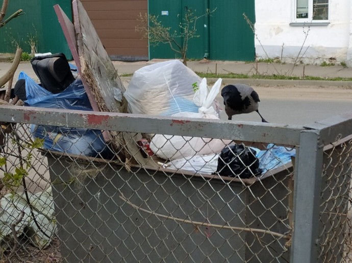 Кострома заработала 400 тысяч рублей на мусоре Кострома заработала 400 тысяч рублей на мусоре