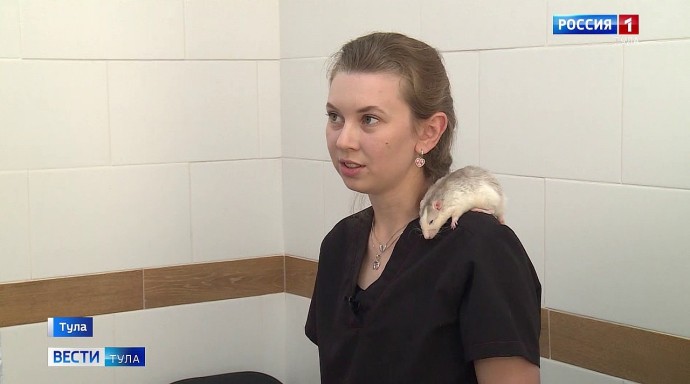 Ветеринар Диана Мамедова: Любое животное должно отсидеть карантин