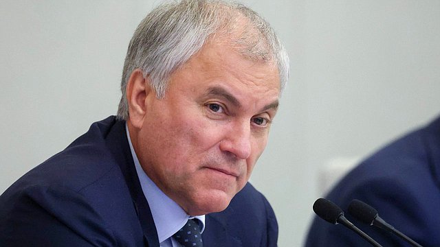 Вячеслав Володин предложил обратиться в Генпрокуратуру и ФСБ по вопросу законности деятельности структур, работавших на Байкале на иностранные гранты