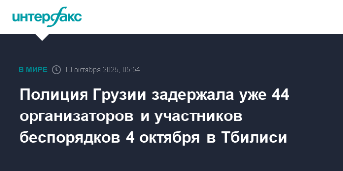 Полиция Грузии задержала уже 44 организаторов и участников беспорядков 4 октября в Тбилиси