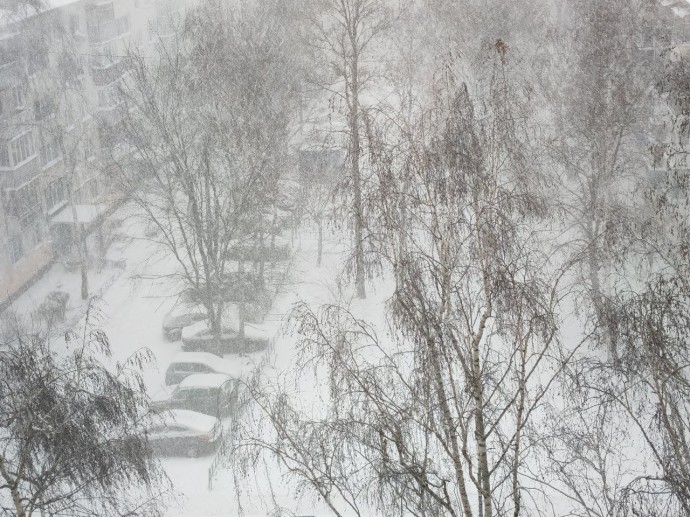 В Пензенской области после бури обесточены 45 населенных пункта: какие меры принимают власти