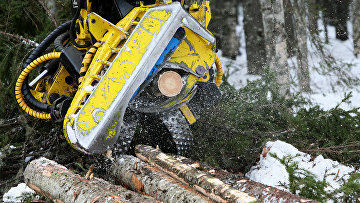 Суд обязал администрацию возместить ущерб за рухнувшие на участок деревья