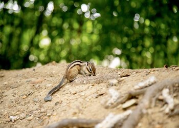 В Приамурье — летний зной до +37°