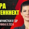 Германия — Порог в 5%: как иск BSW разбился о конституционный риф