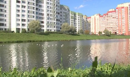 Очевидцы сообщили о массовой гибели рыбы в реке Новой