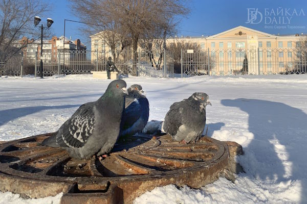 В Бурятии усилится ветер