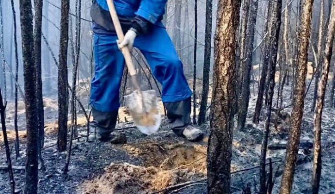 Семь лесных пожаров потушили в Бурятии за сутки
