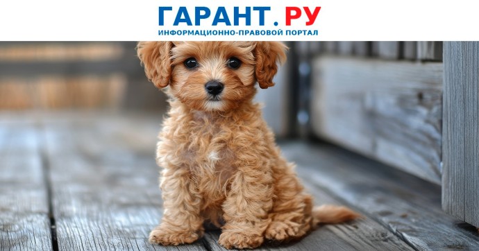 Хозяйка мальтипу взыскала более 130 тыс. с владельца напавшей на питомца собаки