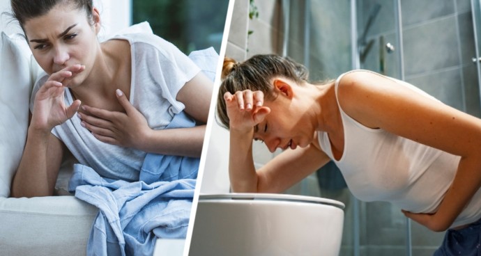 Каюты карантина: норовирус сеет хаос на борту круизного лайнера Каюты карантина: норовирус сеет хаос на борту круизного лайнера