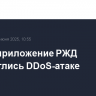 Сайт и приложение РЖД подверглись DDoS-атаке