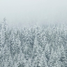 Снежно и пасмурно: прогноз погоды в Сахалинской области на 8 декабря