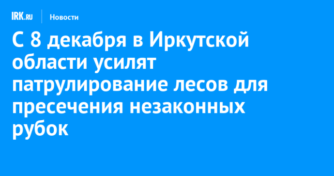 Перед новогодними праздниками в Приангарье усилят патрулирование лесов для пресечения незаконных рубок