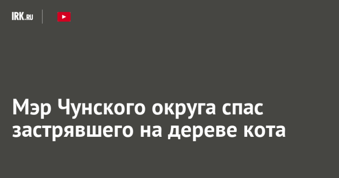 Мэр Чунского округа спас застрявшего на дереве кота