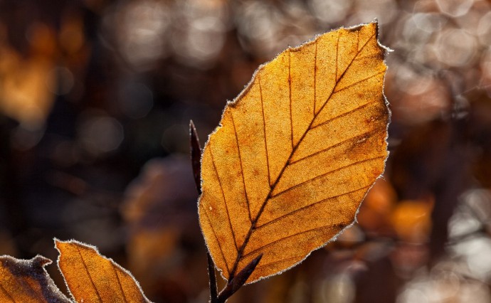 Ближе к нулю: какой будет погода в районах Сахалинской области 15 ноября
