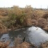 Андрей Спицын в четвертый раз избран омбудсменом Астраханской области
