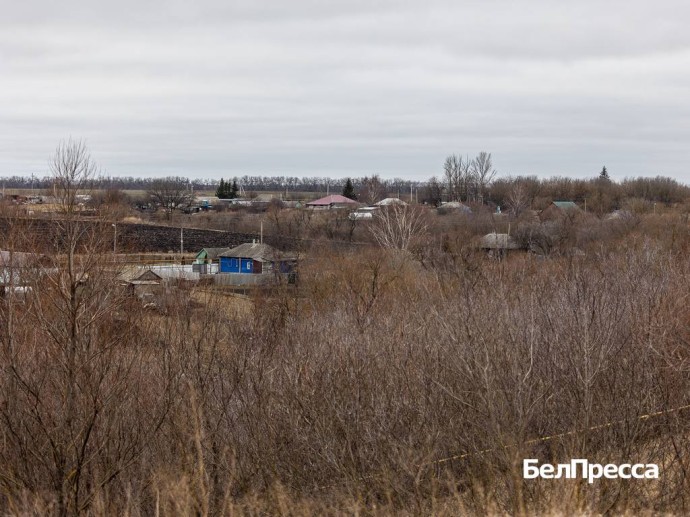 Вячеслав Гладков сообщил о 205 земельных участках, выданных ветеранам СВО
