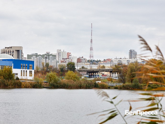 Белгородская область стала одним из лидеров в России по доступности аренды жилья