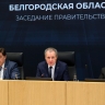 Губернатор Вячеслав Гладков: Необходимо повышать информированность семей о новой мере поддержки — предоставлении предметов первой необходимости для новорожденных