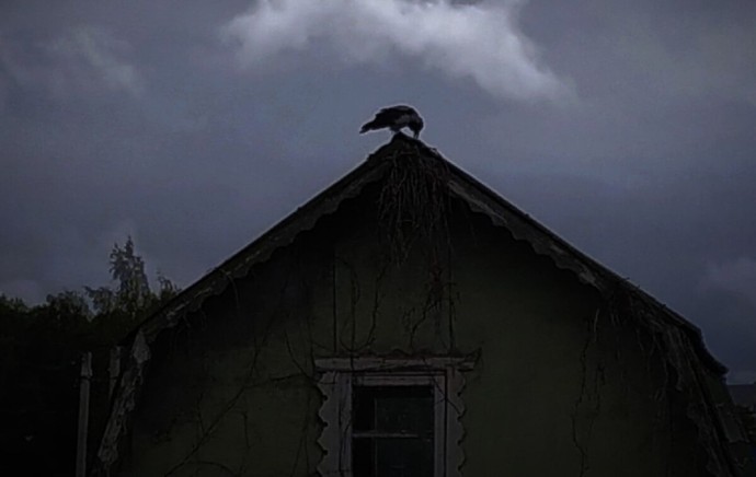 Закрыты школы, нет отопления: что происходит в Костромской области после атак БПЛА