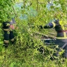 В деревне Тупиково в Тверской области на машину упало дерево
