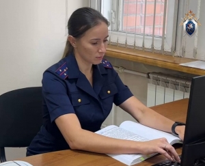 СКР Приморья завершил расследование уголовного дела о хищении электричества группой лиц на сумму свыше 230 млн рублей