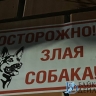 В Иркутской области пострадавший от собаки мальчик получит 50 тысяч