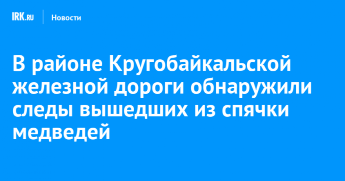 В районе Кругобайкальской железной дороги обнаружили следы вышедших из спячки медведей