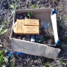 В Судже сотрудники ФСБ обнаружили боеприпасы и вооружение ВСУ