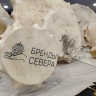 Креативные индустрии Архангельской области: малый бизнес Поморья создает уникальные бренды Севера