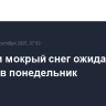 Дождь и мокрый снег ожидаются в Москве в понедельник