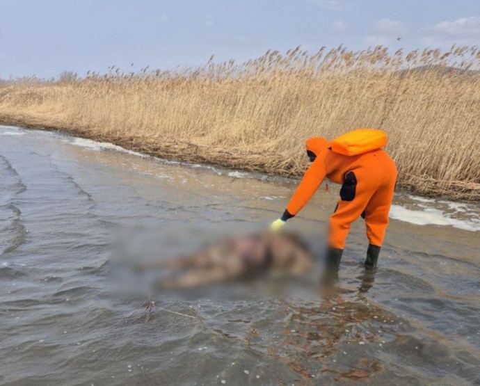 «Отнесло на два километра»: в Приморье спустя пять месяцев нашли тело рыбака