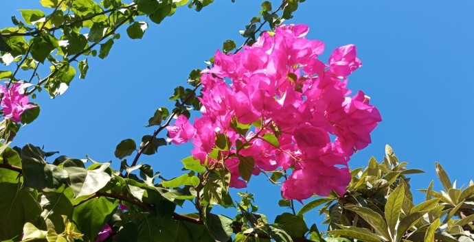 В Башкирии погода приготовила новый сюрприз В Башкирии погода приготовила новый сюрприз