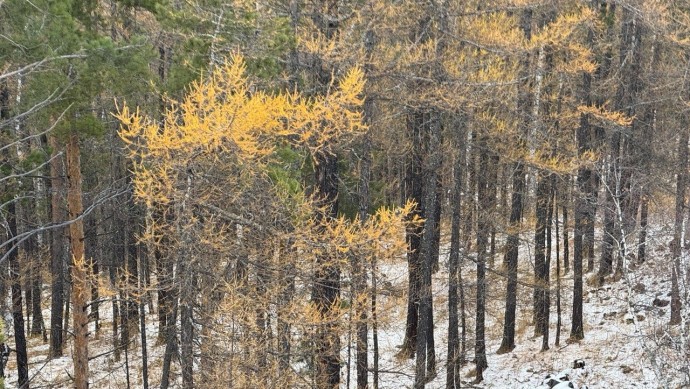 В Башкирии предупредили о погодных сюрпризах В Башкирии предупредили о погодных сюрпризах