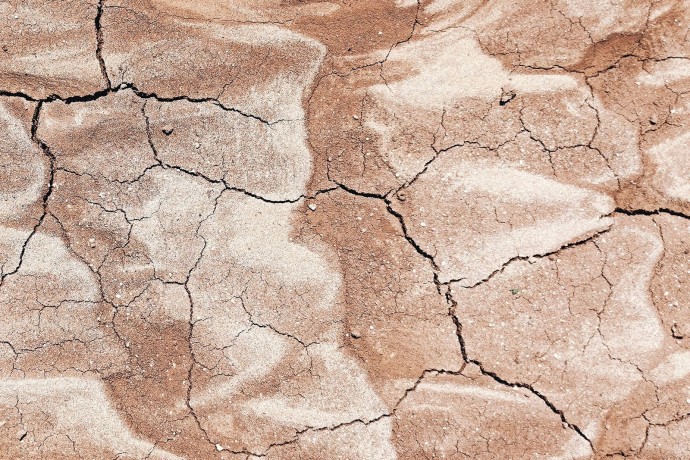 Печем почвенный пирог