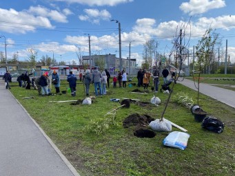 На Ржевской площади появился яблоневый «Сад памяти»