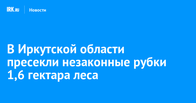 В Иркутской области пресекли незаконные рубки 1,6 гектара леса
