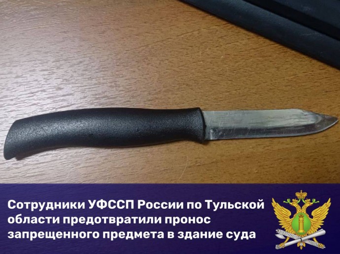 Тулячка попыталась пронести нож в Ленинский районный суд