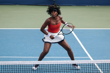 Французский журналист высмеял выдачу "уайлд-кард" на US Open Винус Уильямс