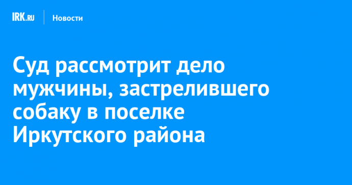 Суд рассмотрит дело мужчины, застрелившего собаку в поселке Иркутского района