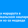 Еще два маршрута в Прибайкальском нацпарке закрыли из-за медведя
