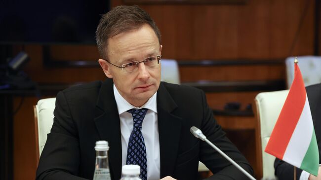 Сийярто рассказал, чем опасно вступление Украины в ЕС