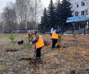 В Саранске высаживают деревья на аллеях и вдоль городских улиц
