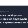 Москалькова сообщила о возвращении еще двух курян, незаконно перемещенных на Украину