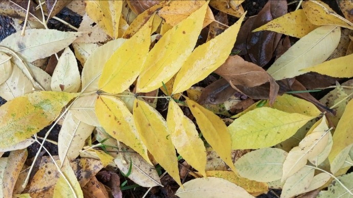 В Башкирии в ноябре и декабре ожидаются погодные аномалии В Башкирии в ноябре и декабре ожидаются погодные аномалии