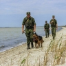 Что положено ветерану боевых действий