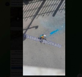 Территорию оцепили, люди напряглись: дрон нашли во Владивостоке