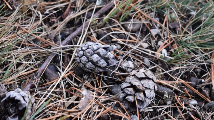 В Башкирии похолодает до -5 градусов и выпадет снег В Башкирии похолодает до -5 градусов и выпадет снег